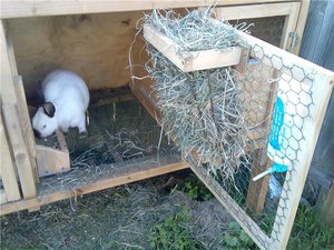 Клетка для кроликов с сенной кормушкой