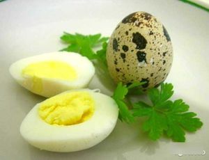 Вареное яйцо   фото