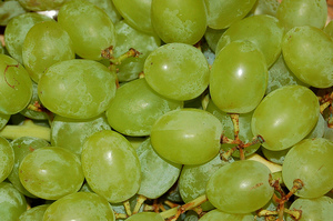 КВусовые качества винограда