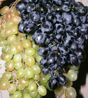 Какой может быть вред от винограда