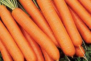 Характеристика моркови Тип-топ