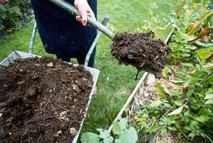 Подготовка компоста к внесению в землю