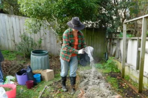 Вносить доломитовую муку в почву можно после уборки урожая