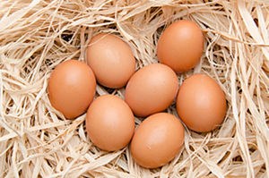 Сколько весит куриное яйцо