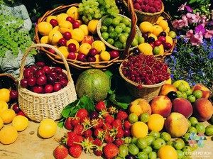 Овощи и фрукты фото