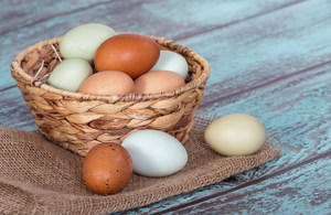Чем полезны яийца цесарки