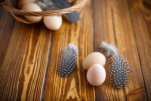 Польза яиц цесарки