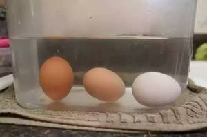 Надежные способы проверки яиц на свежесть