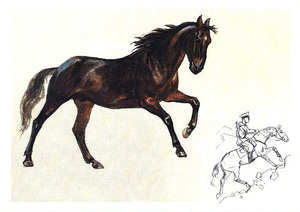Содержание кабардинской лошади