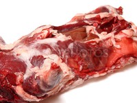 Польза и вред мяса нутрии