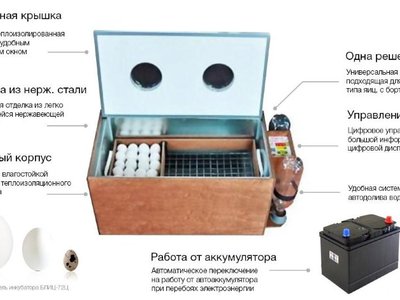 Инкубатор блиц 48 схема электрическая