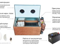 Как пользоваться инкубатором