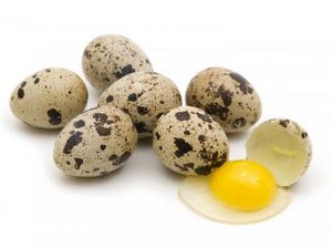 Свойства перепелиных яиц