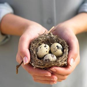 Польза перепелиных яиц для мужчин