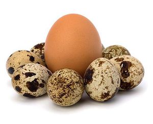 Перепелиное яйцо для мужской потенции
