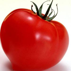 Сорт томатов Большая мамочка