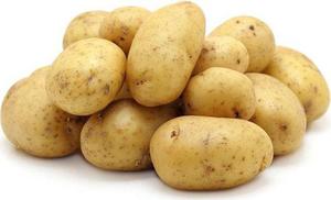 Как вырастить картофель гала