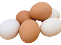 Какие бывают категории куриных яиц фото