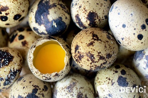 Перепелиные яйца кладезь витаминов    фото