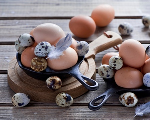 Яйца на сковородке   фото