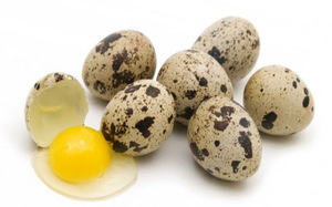 Пищевое перепелиное яйцо   фото