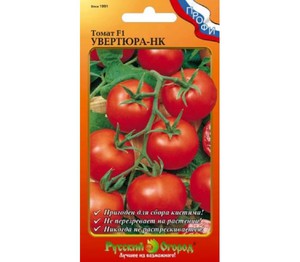 Преимущества выращивания сорта томата Примадонна