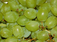 КВусовые качества винограда