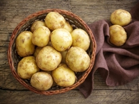 Картофель-как выращивать