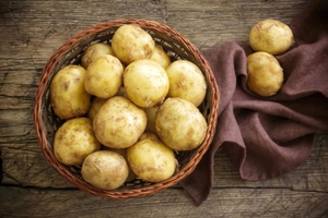 Картофель-как выращивать