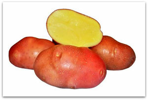 Виды сортов картофеля