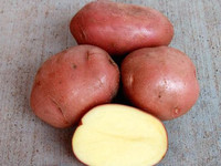 Описание сорта картофеля