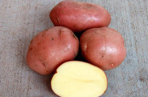 Описание сорта картофеля