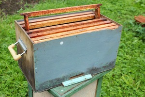 Как сделать ловушку для пчел