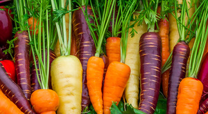Выбор семян моркови