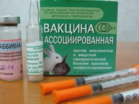 Когда делается вакцинация кроликов